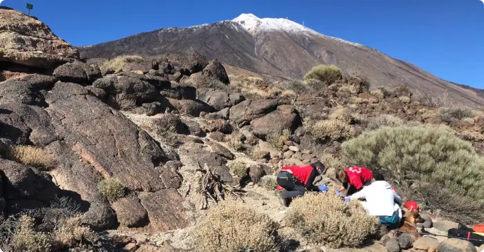 Wanderer am Teide gerettet