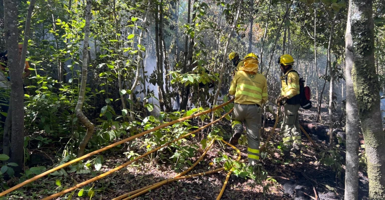 2023-10-16 Teneriffa Waldbrand Montagmorgen