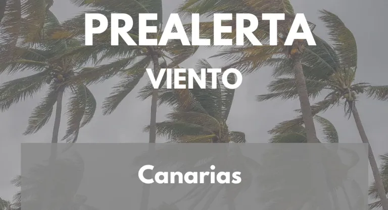 2025 01 02 Kanaren Wind Vorwarnung