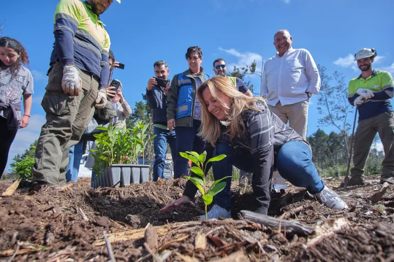 2025 02 17 Teneriffa Baumpflanzung