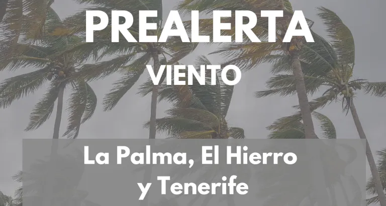 2025 02 17 Wind Vorwarnung