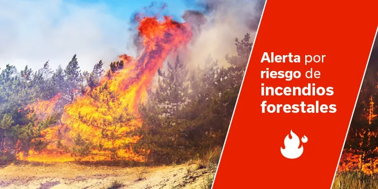 2025 11 04 Waldbrandwarnung Kanarische Inseln