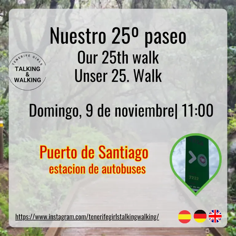 2025 11 05 Talking Walking