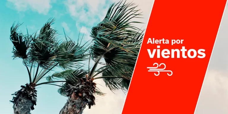 2025 11 11 Kanaren Windwarnung