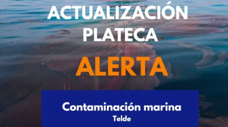 2025 11 29 Meeresverschmutzung Telde